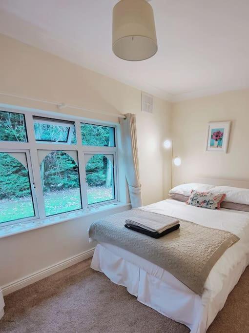 Newpark Entire Home At Ballysax House מראה חיצוני תמונה